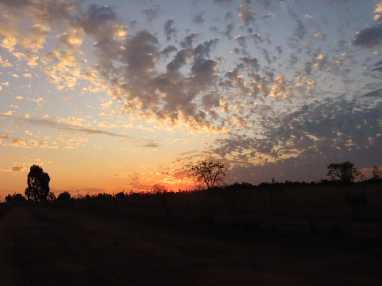 Sanctuary Life Guest Farm Hotel Magaliesburg Eksteriør billede