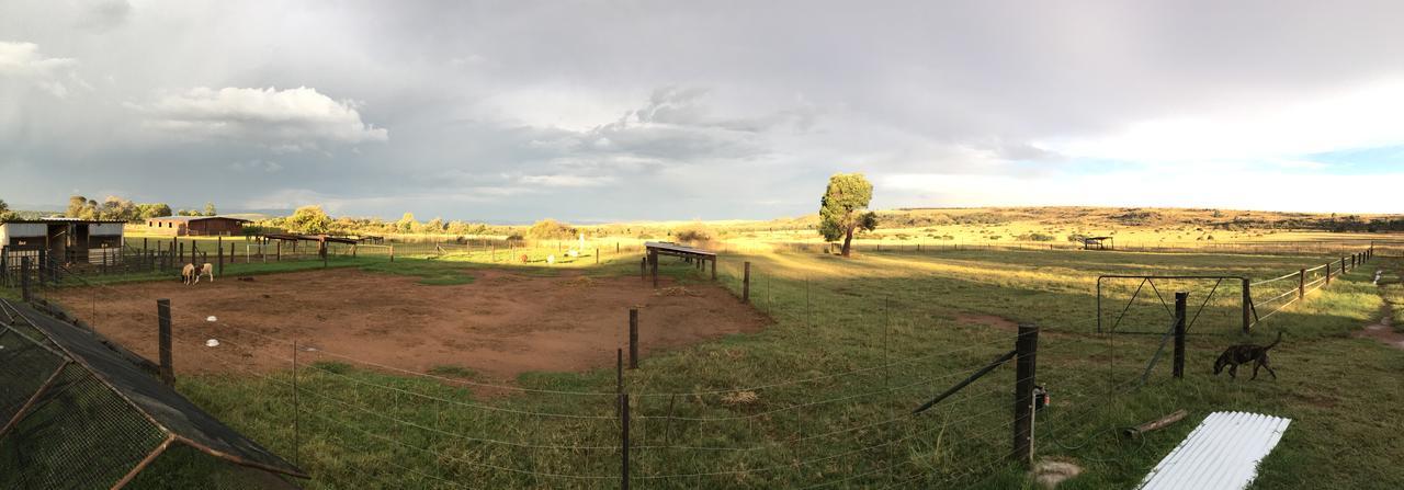 Sanctuary Life Guest Farm Hotel Magaliesburg Eksteriør billede