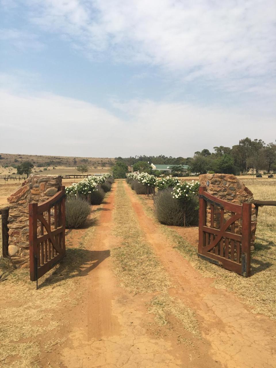 Sanctuary Life Guest Farm Hotel Magaliesburg Eksteriør billede